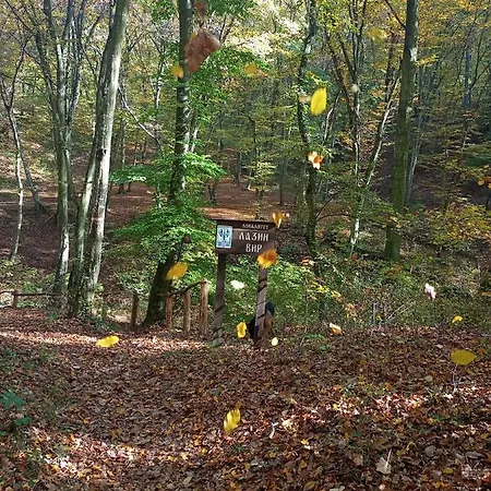 Apartment Smestaj Vrhovac