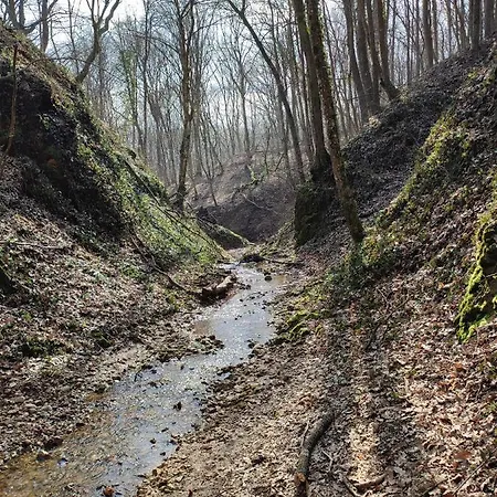 Smestaj Vrhovac * Vrdnik