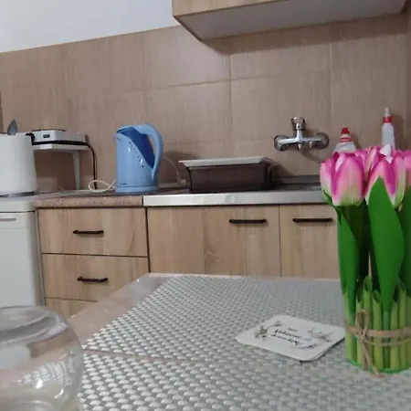 Smestaj Vrhovac Apartment *