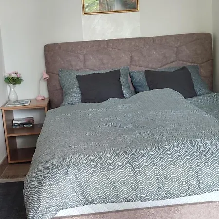 Smestaj Vrhovac Apartment Vrdnik